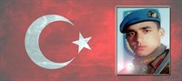 J. Er Ferid Şahinkuşu 